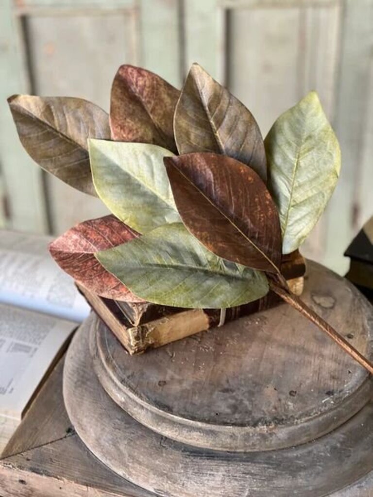Painterly Magnolia Pick