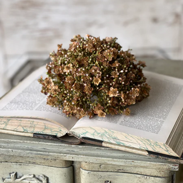 Chestnut Emmeline Half Sphere