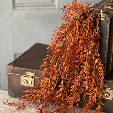 Rust Ever Embers Hanging