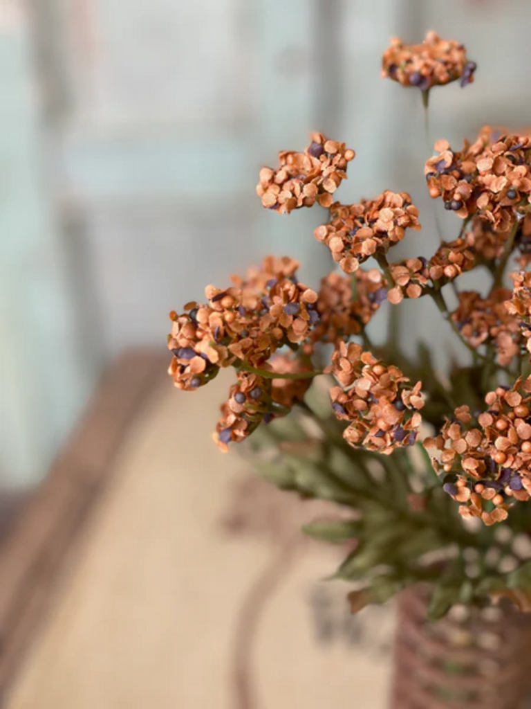 Pumpkin Fennel Flower Bundle