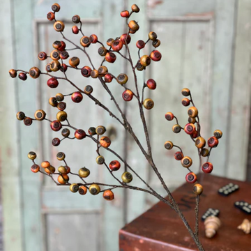 Chameleon Riddle Berry Spray-36"