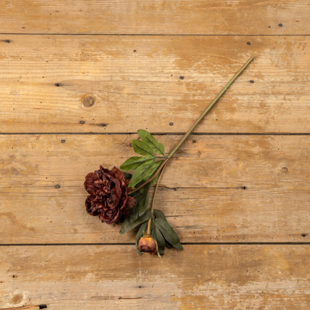 Burgundy Peony Spray - 19"
