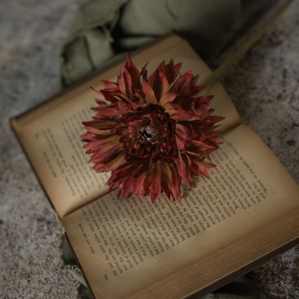 Burnt Orange Daisy Spray