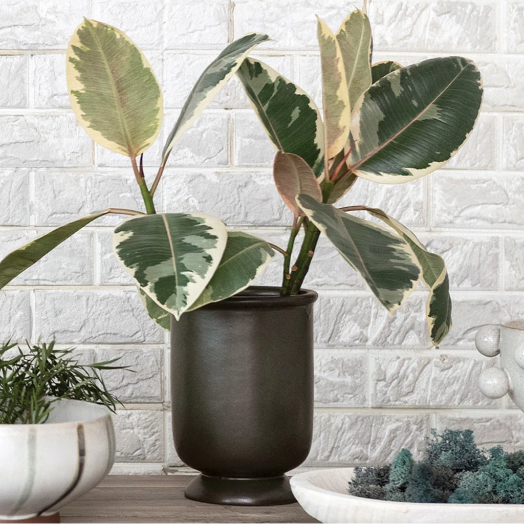 Green Reactive Glaze Stoneware Vase