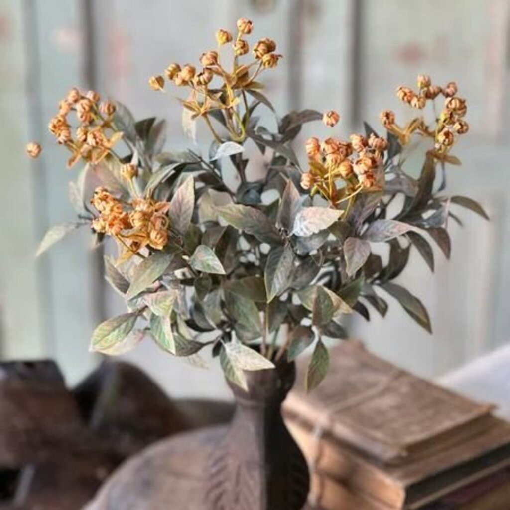 Trifle Blooms Bush - 14"