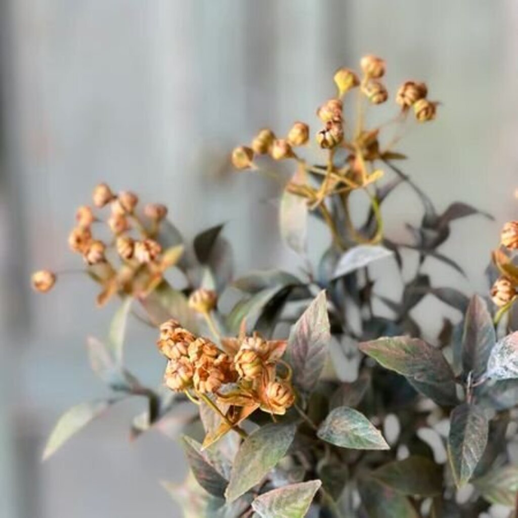 Trifle Blooms Bush - 14"