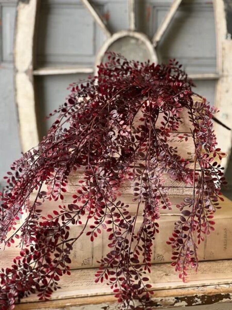 Red Ruta Rue Hanging - 36"