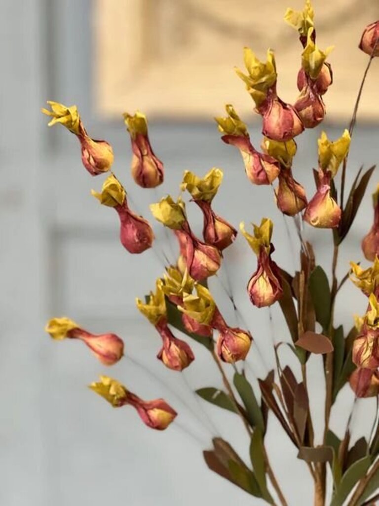 Dusky Flicker Buds - 22"