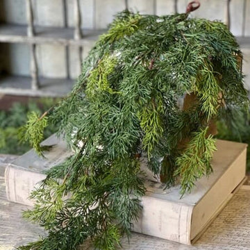 Verdant Cedar Hanging - 31"