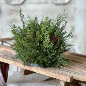 Telluride Spruce Half Sphere - 11"