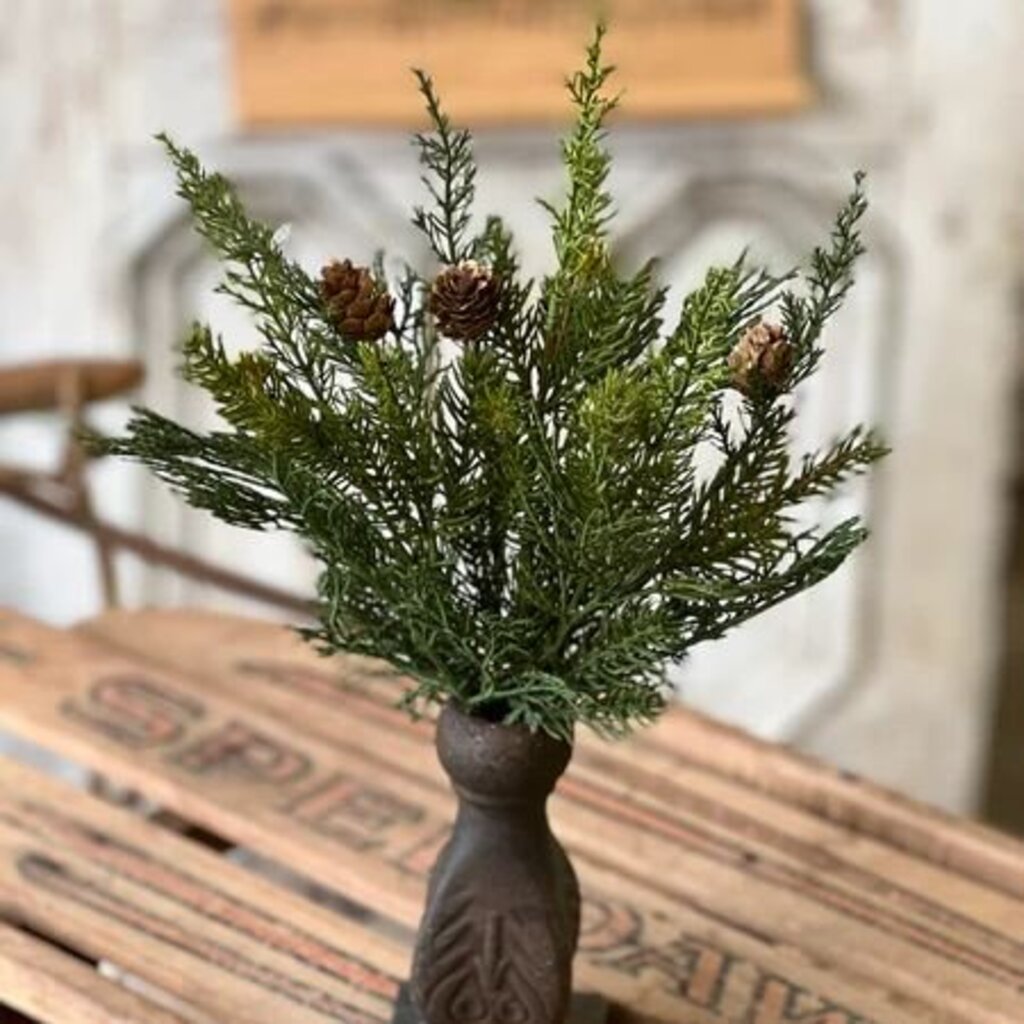 Telluride Spruce Bush - 14"