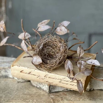 Icy Barren Nest & Leaves