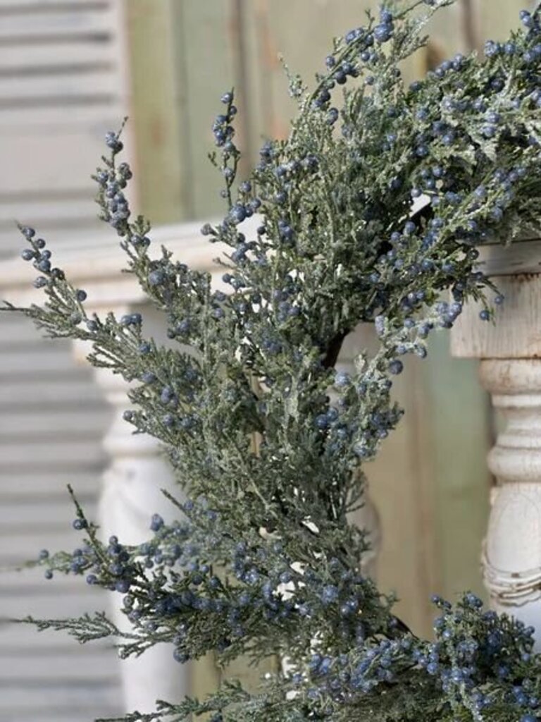 Icy Northwind Juniper Wreath - 22"