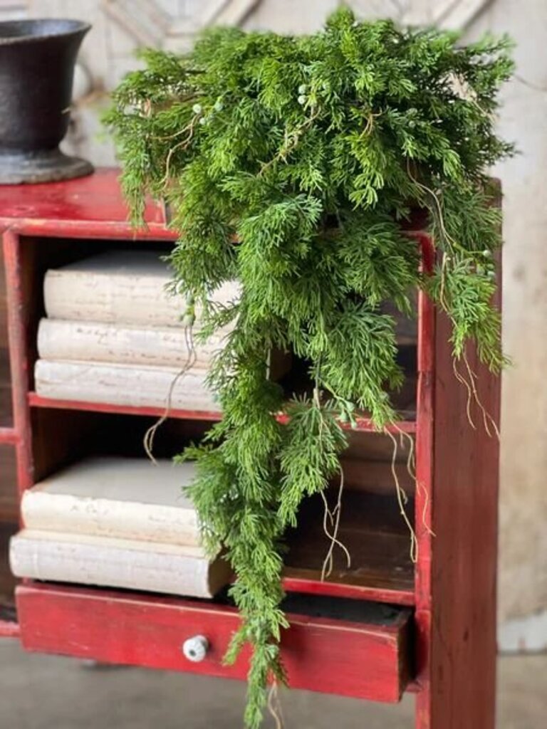 Dripping Cedar Hanging - 34"