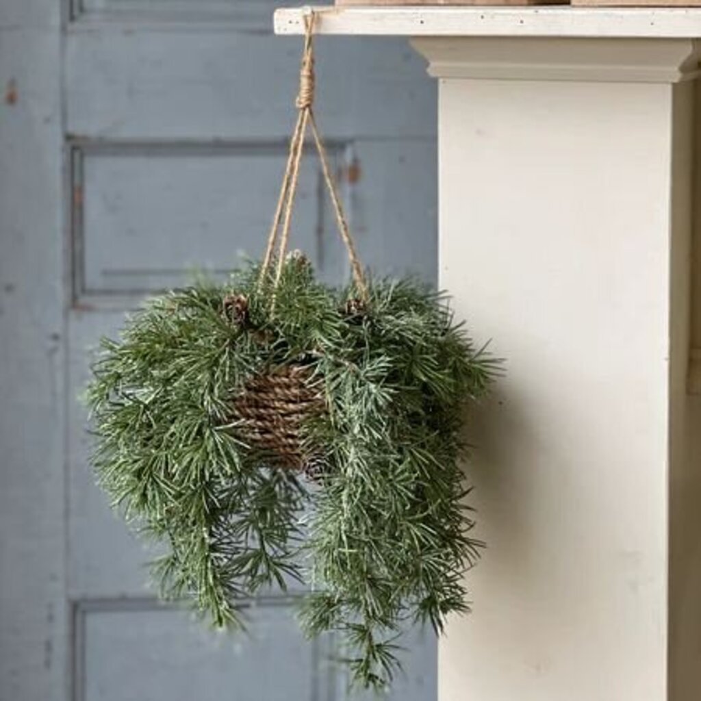 Shining Spindle Pine Hanging Basket - 13"