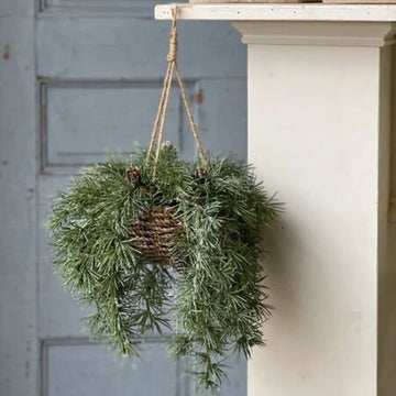 Shining Spindle Pine Hanging Basket - 13"