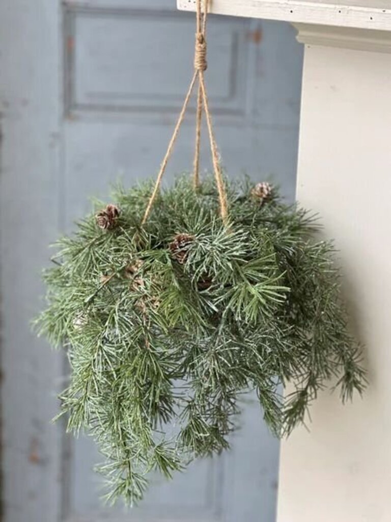 Shining Spindle Pine Hanging Basket - 13"