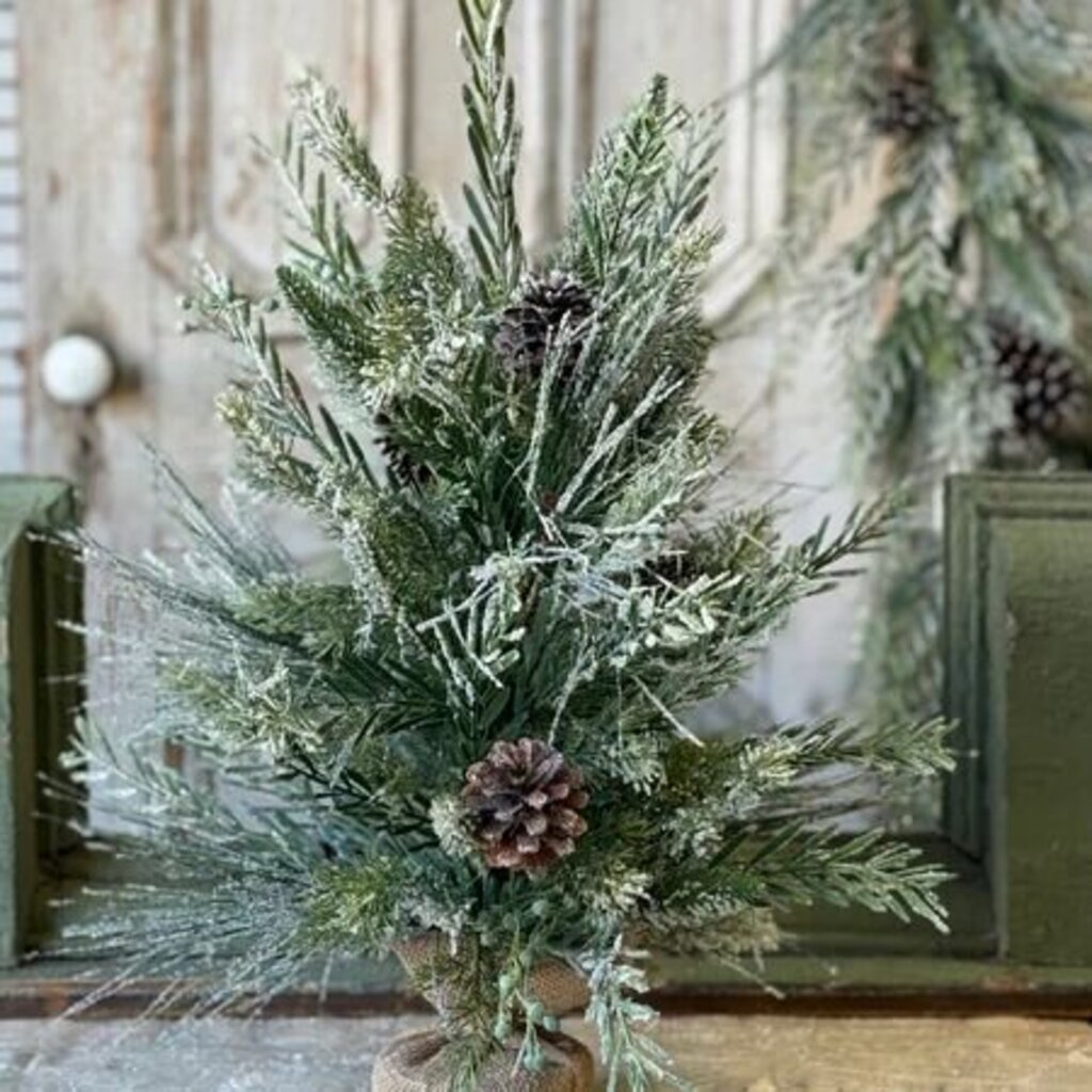 Wishing Wilderness Fir Tree