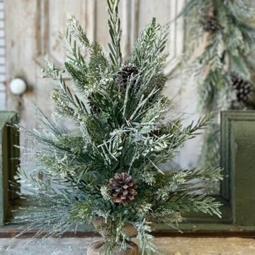 Wishing Wilderness Fir Tree