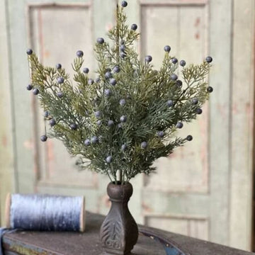Midnight Juniper Bush - 18"