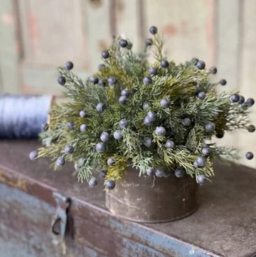 Midnight Juniper Half Sphere - 12"