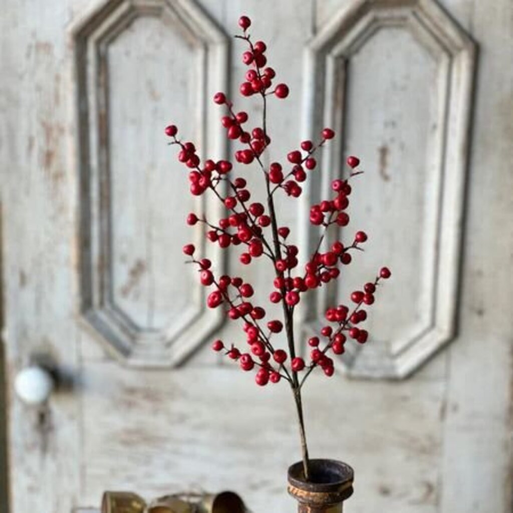 Ruby Rushberry Spray - 29"