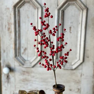 Ruby Rushberry Spray - 29"