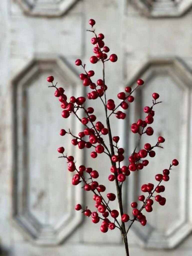 Ruby Rushberry Spray - 29"