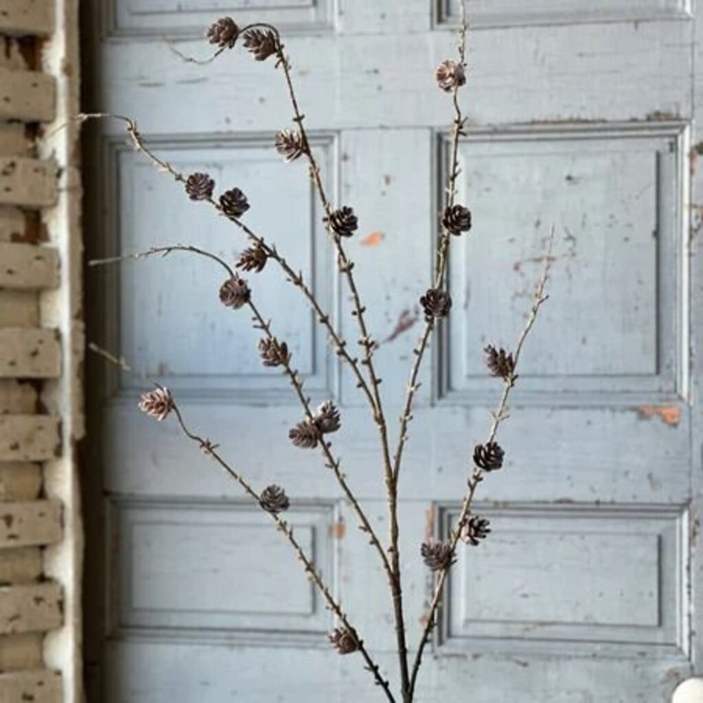 Pinyon Pine Cone Spray - 48"