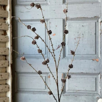 Pinyon Pine Cone Spray - 48"