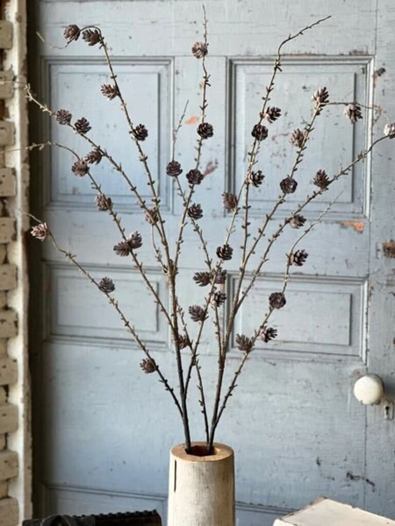 Pinyon Pine Cone Spray - 48"