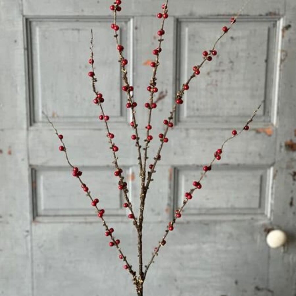 48" Wild Woods Berry Spray