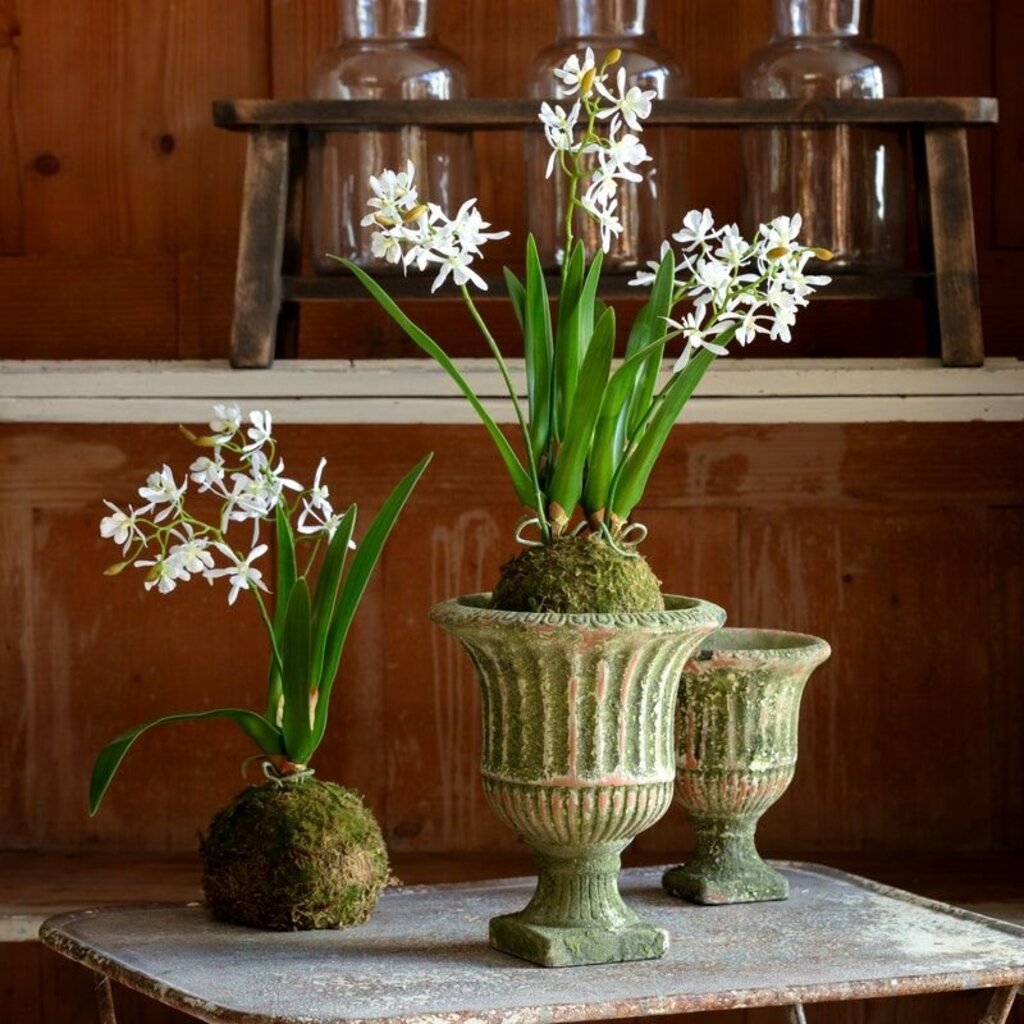 Planters – 417 Vintage Market