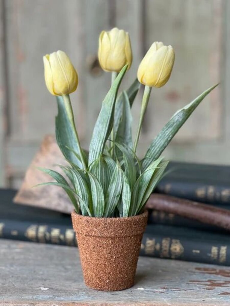 Yellow Holland Tulip Pot