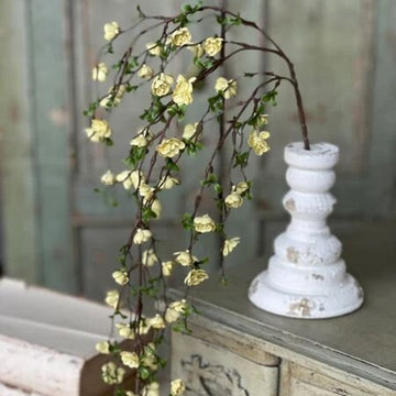 Quince Blooms Hanging- Cream