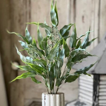 Ripley Bush
