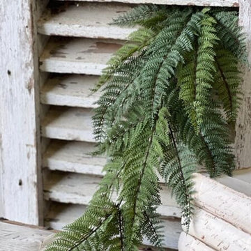 Fernwood Haven Hanging