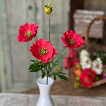 Rialto Poppies Stem- Redden