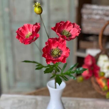 Rialto Poppies Stem- Flickering
