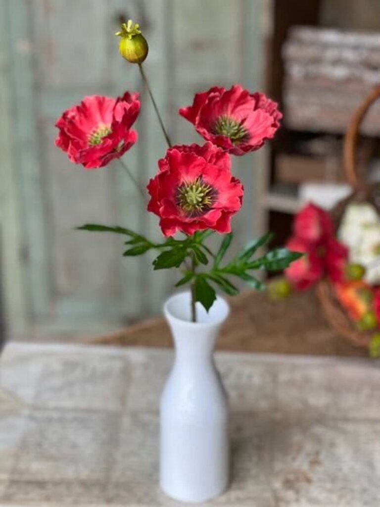 Rialto Poppies Stem- Flickering