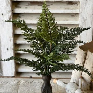 Fernwood Haven Bush