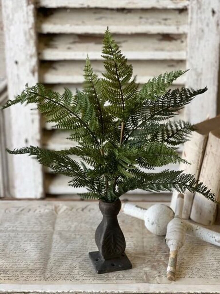 Fernwood Haven Bush