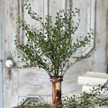 Rarrick Green Leaves Bush