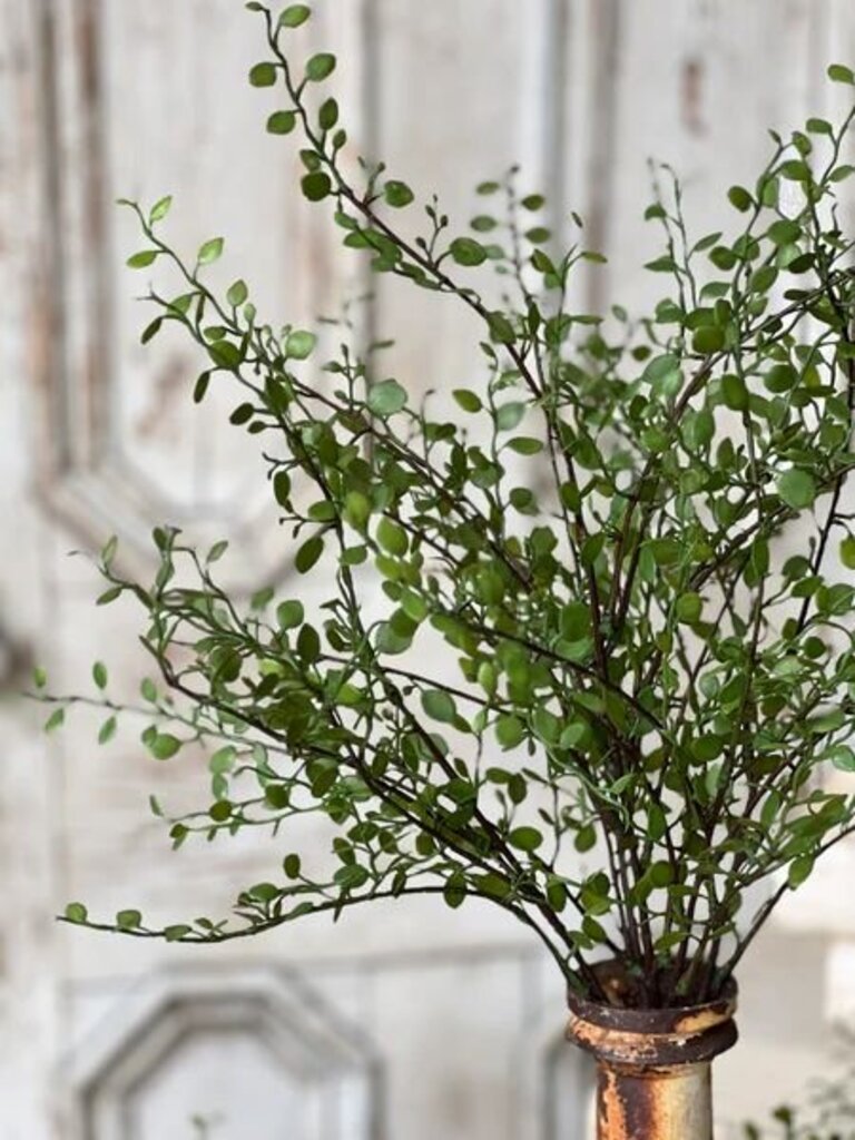 Rarrick Green Leaves Bush