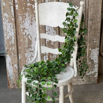 Greenveil Weeping Garland-Heart