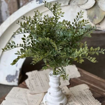 Parterre Green Leaves Bush