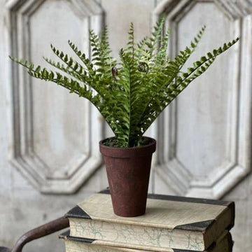 Foundry Potted Fern- Boston