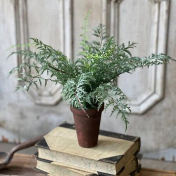 Foundry Potted Fern- Cutleaf