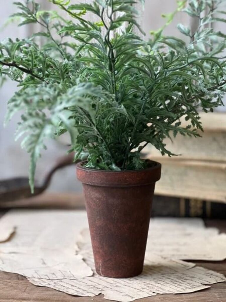Foundry Potted Fern- Cutleaf