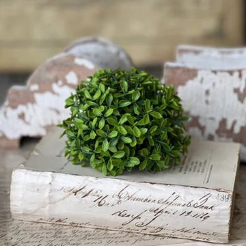 Lyric Boxwood Half Sphere